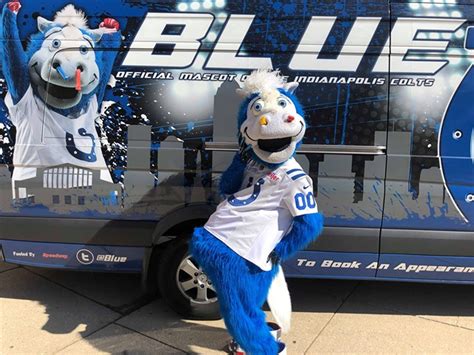Indianapolis colts mascot in blue attire